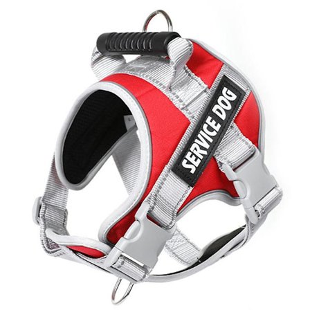 Hundsele och koppel Reflekterande hundselar för små hundar med namn