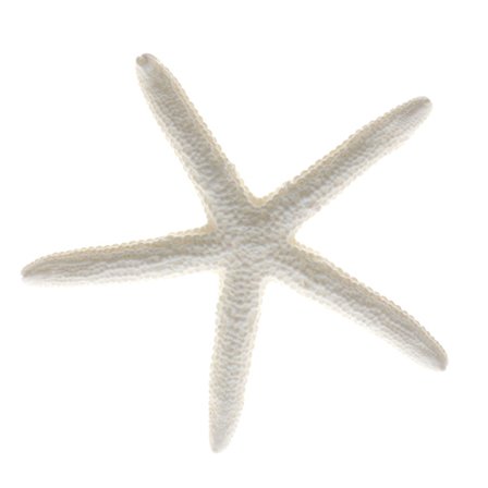 Fish Tank Figurines Levande färg Aquarium Figurines Miniatyr Or