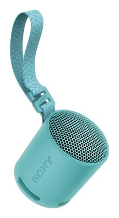 Sony SRS-XB100 - høyttaler - for bærbar bruk - trådløs