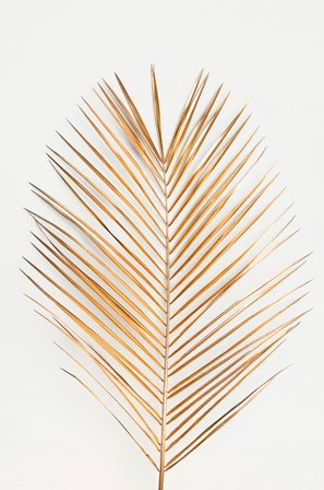 Malerifabrikken - Plakat Palmleaf gold - Guld - Posters - Fra Homeroom