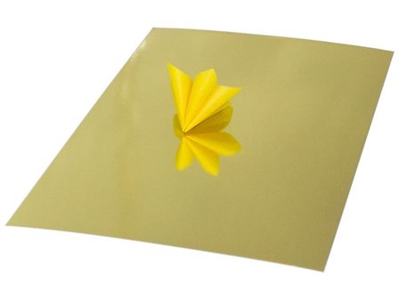 Spegelkartong 25x35cm 280g guld 20/fp - Lyreco - Skola och förskola - Hobbypapper - Specialpapper