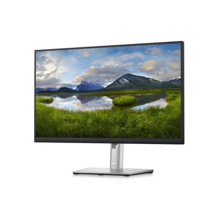 DELL P2423D - LED-skjerm - QHD - 23.8" - TAA-samsvar