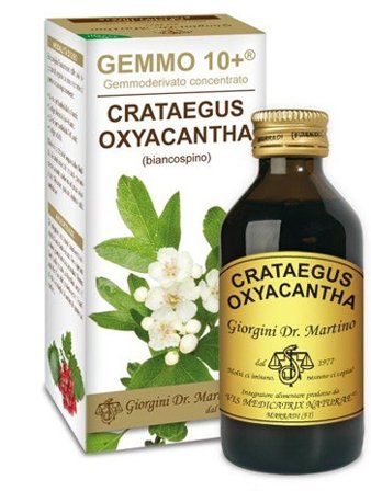 Biancospino Gemmoderivato Concentrato 100ml