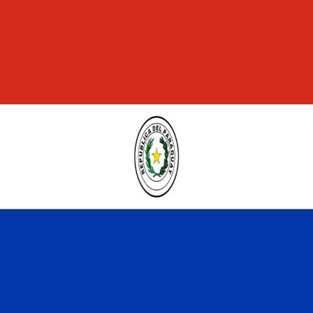 Paraguay-lippu 100