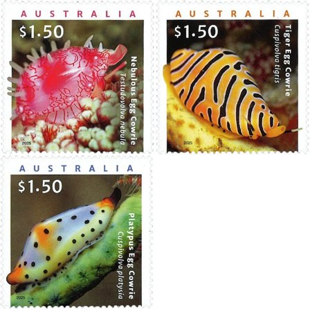 Australien - Farverige marinesnegle - Postfrisk sæt 3v