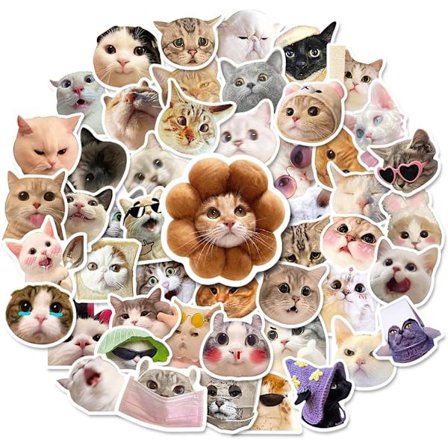 Kissa-tarrat 100 kpl, vedenpitävät vinyyliset eläintarrat, söpö kissatarra, lapsille, matkalaukulle, syliin