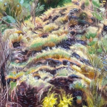 In the half light SWIM SURREAL