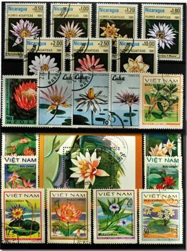 Vandliljer 1 miniark, 1 sæt og 13 forsk. frimærker