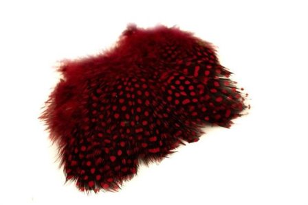 Strung Guinea Feathers - Red #310