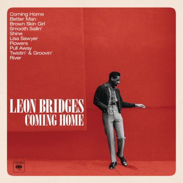 Coming home BRIDGES LEON