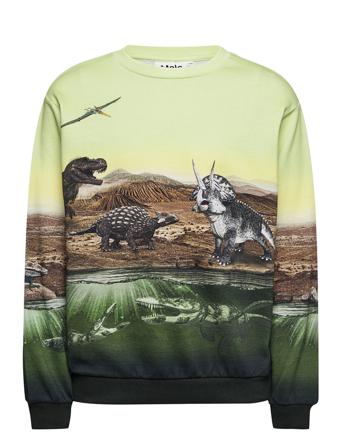 Miksi Sweatshirt Trøje Multi/mønstret Molo