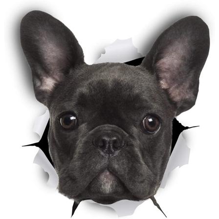 3D Hunde Vægklistermærker - 1 Pakke - Sjovt Dekorative Klistermærker - Sort
