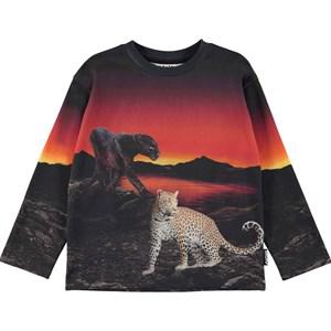 Molo Wild Lake Mountoo Sweatshirt 104 cm - Jumpers and knitwear - 104 CM - Black - Junge