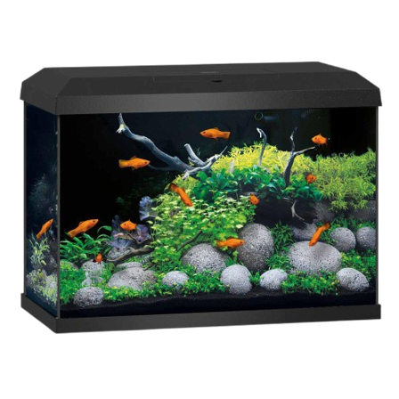 Juwel - Akvarium Primo 70 Black 2.0 61x31x44 cm 70L - Akvaristikk - Akvarium & møbler - Akvarium - ZOO.no
