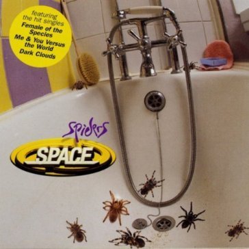 Spiders Space