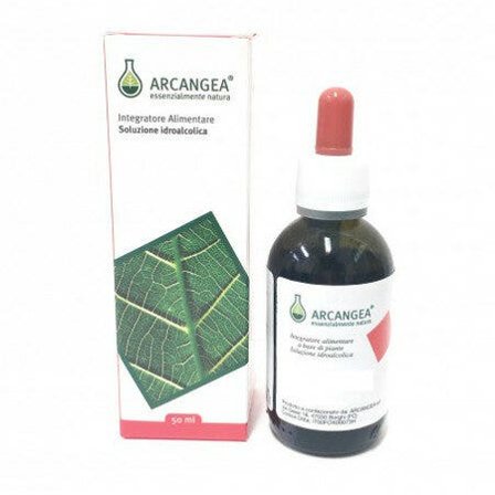 Arcangea Immunoseng 100ml