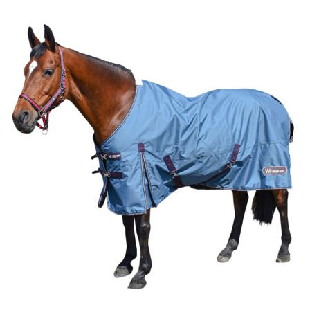Whitaker Lupin Standard-neck Horse Turnout Matta 6 ́ 3 Teal