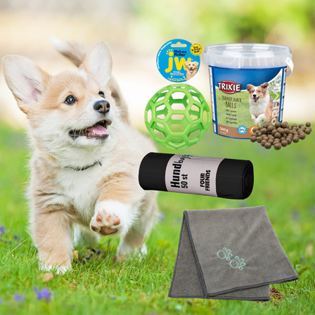 Trixie - Valp Startkit 1