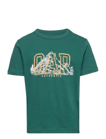 V-Frc Graphic Tee Green GAP