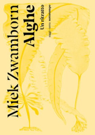 Alghe. Un ritratto Miek Zwamborn