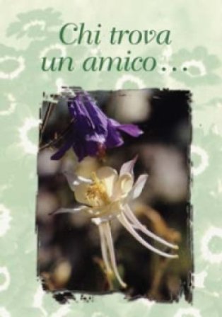 Chi trova un amico...