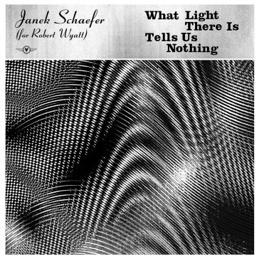 What light there is tells us nothing JANEK (FOR SCHAEFER