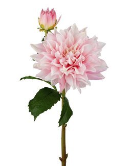 Kunstig snitblomst Dahlia 70 cm 1-pak Lyserød