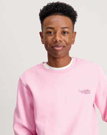 Jack & Jones JJROAR SWEAT CREW NECK JNR Rosa Genser Gutt - Kids Brand Store