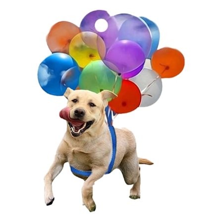 Färgglad ballongvalp bilhänge dekor auto bakre hängande berlock