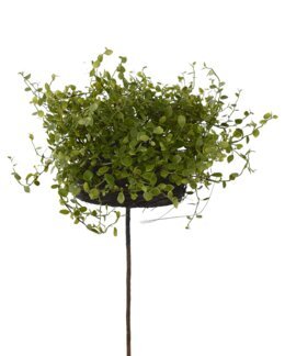 Konstväxt Plättar i luften - 25x34 cm - Mr Plant