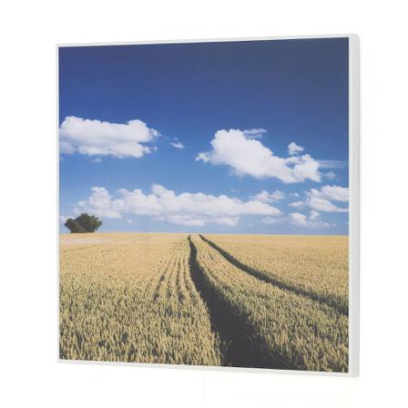 Lärmabsorbierendes Wandpanel, 1200x1200 mm, Feld