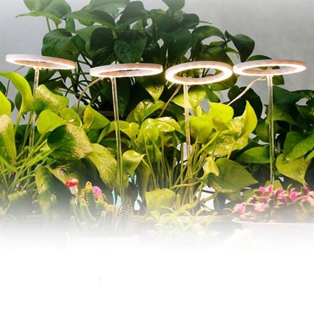 LED-Kasvivalaisin