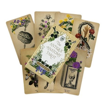 The Antique Anatomy Tarot -kortit Ennustuspakka Englanninkielinen versio Oracle-lautapeli juhliin