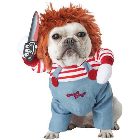 Pet Deadly Doll Hundekostume, Sødt Hunde Cosplay Halloween Sjovt Kostume Fest Specialkostume til Mellemstore og Store Hunde (Medium)