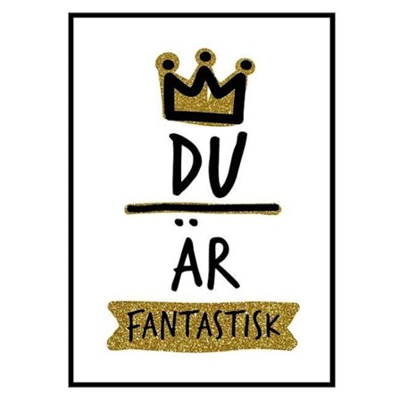 Du är fantastisk 9789177832201