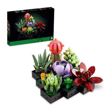 Sukkulenter - Kunstig plante sett for voksne, morsdag dekorasjon, kreativ gave til morsdag eller innflytting, B