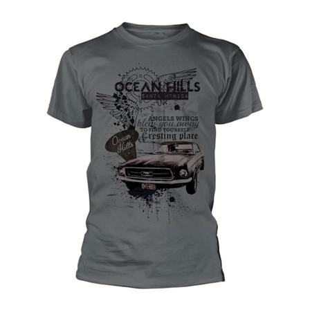 Ocean Hills Unisex Vuxen Ängelvingar T-shirt L Grå Grey L