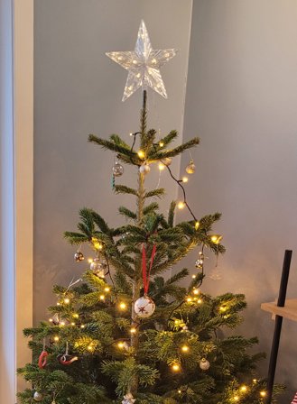 Toppstjerne Topsy 10-lys batteridrevet - klar