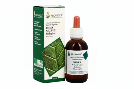 Arcangea Ribes Nigrum Bio Gemmoderivato 33 Gradi 50ml