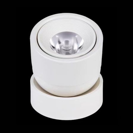 LED 12W Justerbar Loftslampe Kunstbelysning Spotlys Indendørs