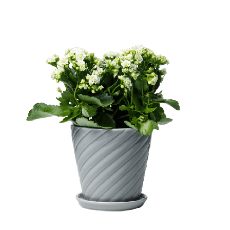 In Flore Sigrid Blomkruka Och Fat Krukor & vaser Grå