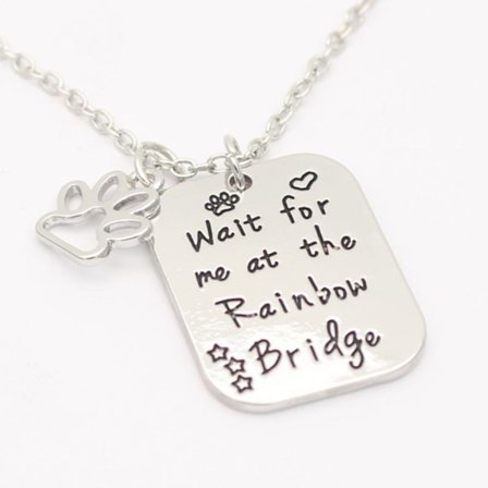 Necklace - Wait for me at the rainbow bridge - Paw