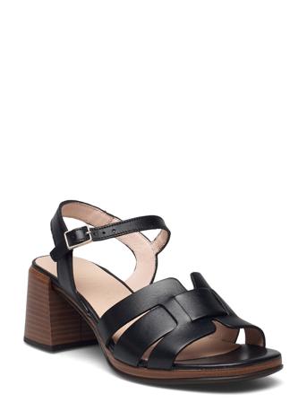 F-7705 Pergamena Black Wonders