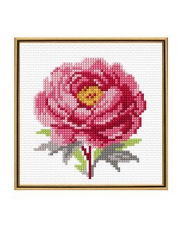Stickpackung Bild Pfingstrose
