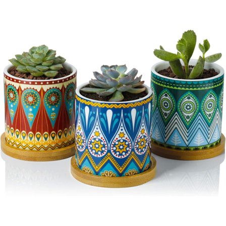 Saftige Plantekrukker - 3 Tommer Små Keramiske Plantekrukker Planter Krukker Mini Blomster Vase til Indendørs Planter, Gave Sæt af 3