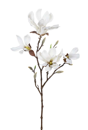 Mr Plant Kunstig Gren Magnolia H50cm