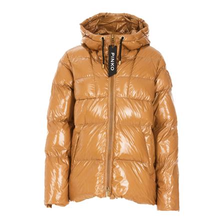 Pinko, Down Jackets Bruin, Dames, Maat:S