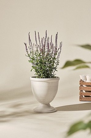 Jotex - Urna ø 38 Cm Biały - ALICIA - Kup Donice ogrodowe firmy Jotex