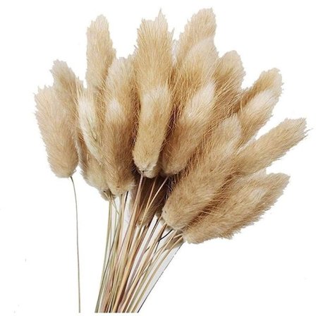 50 stk naturlige råfarger tørkede blomster blomsterbukett for bryllupsdekorasjon kaninhalegressbunter