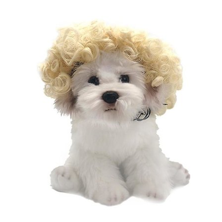 Kæledyr Paryk Sæt Hunde Paryk Cospaly Rekvisitter Kæledyr Hovedbeklædning Hunde Hovedbeklædning Tr